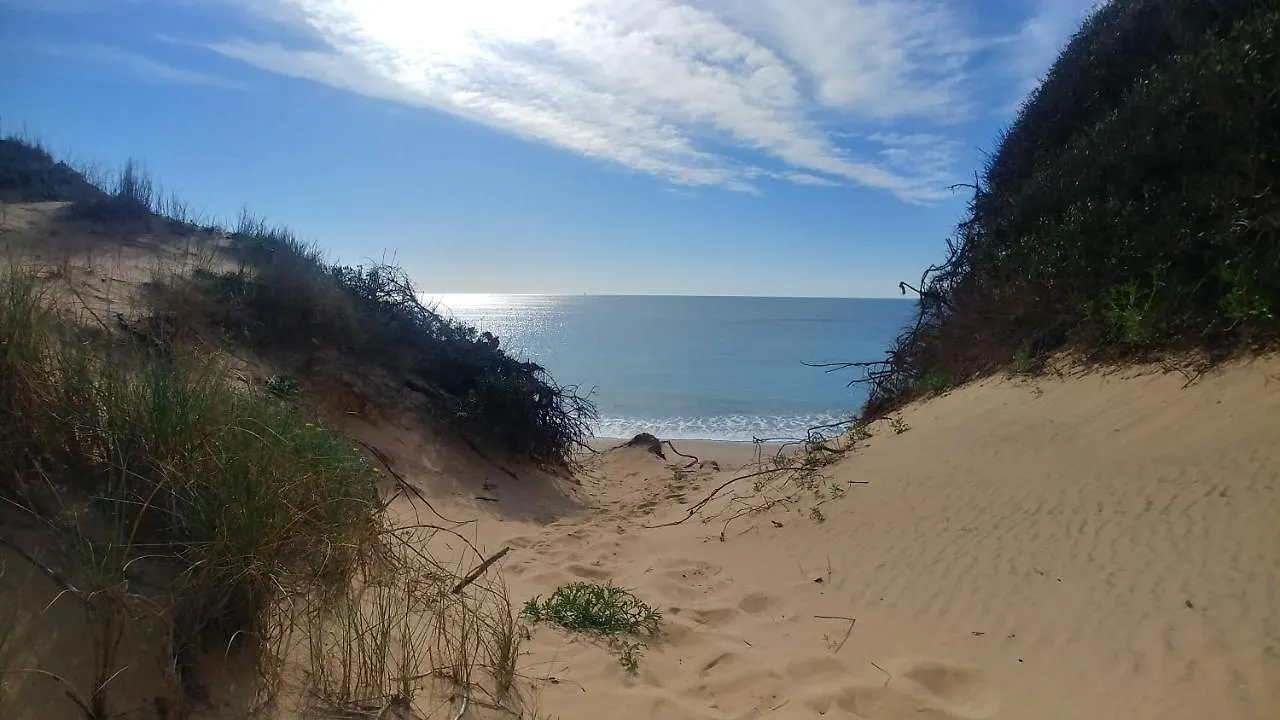 Apartamento Playa De Punta Candor 로타