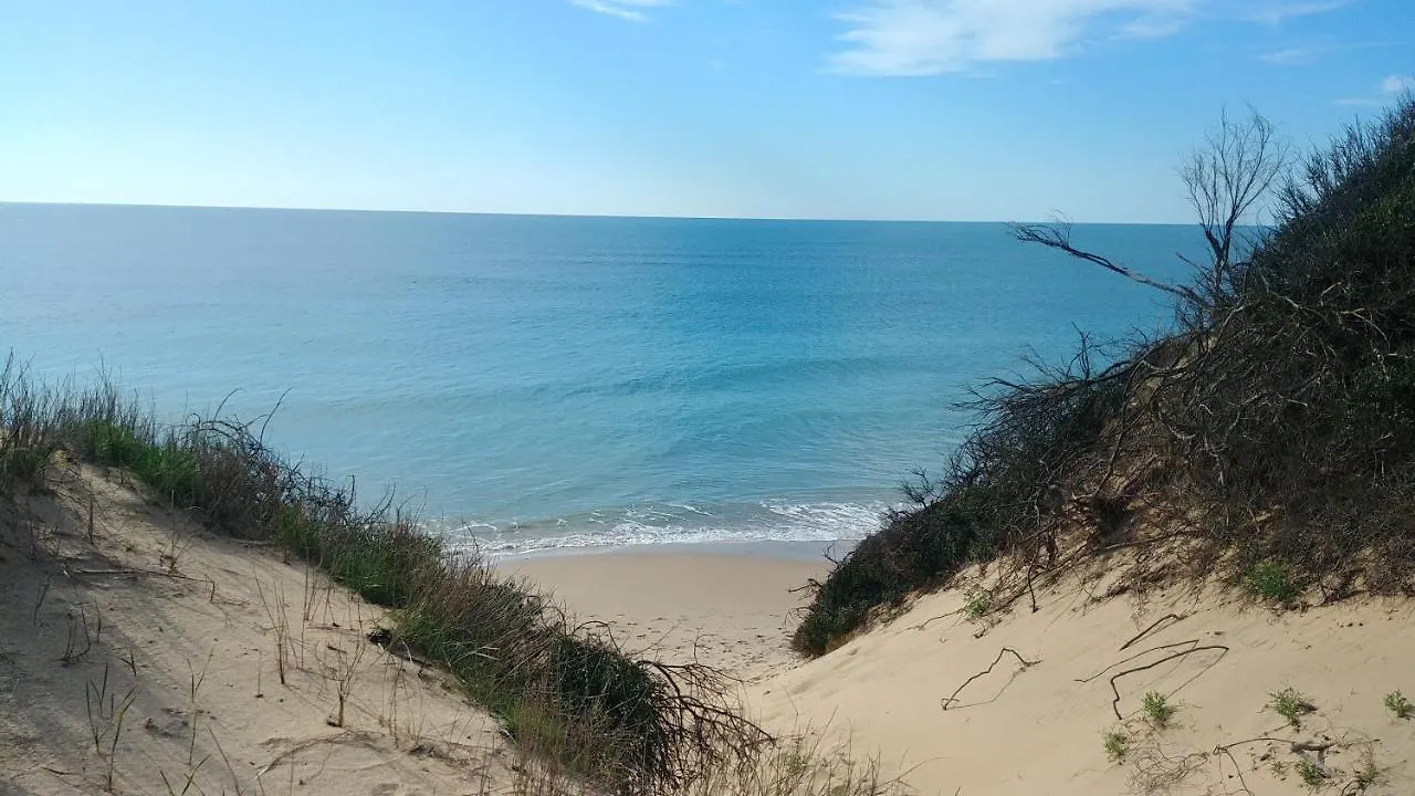 Daire Apartamento Playa De Punta Candor Rota