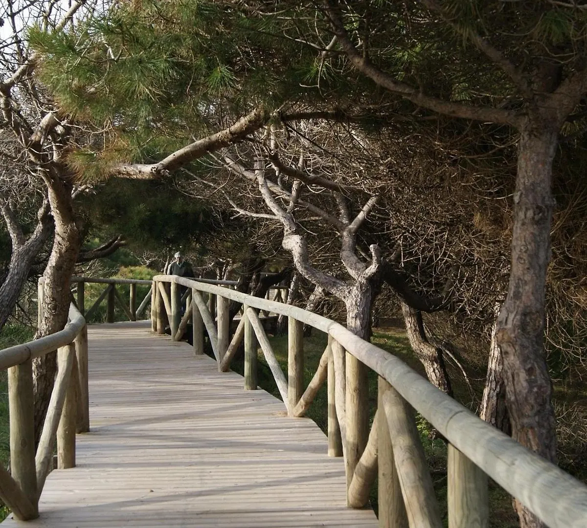 Apartamento Playa De Punta Candor Rota Daire